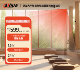 【家用版】24小时防盗报警服务产品