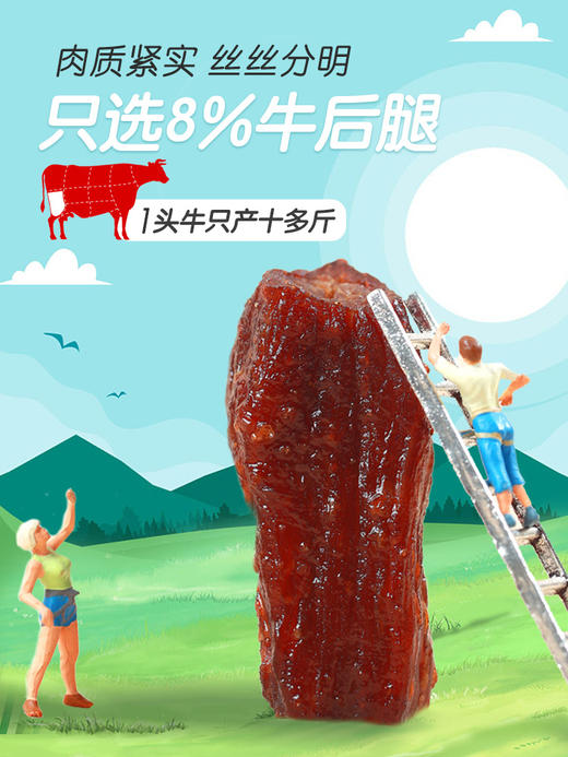 蒙元宽手撕风干牛肉干内蒙古特产原味孕妇零食250克/包 商品图1