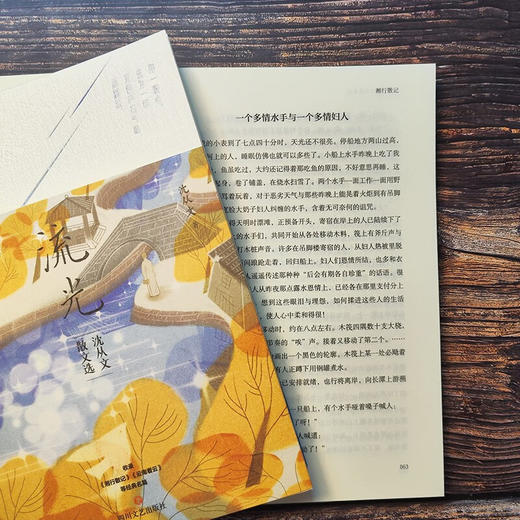 流光 沈从文散文选 沈从文 著 文学 商品图3