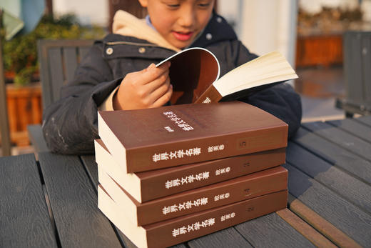 《世界文学名著连环画》（5/10册），几十位连环画大家通力创作，大人、小孩一口气读完世界名著 商品图10