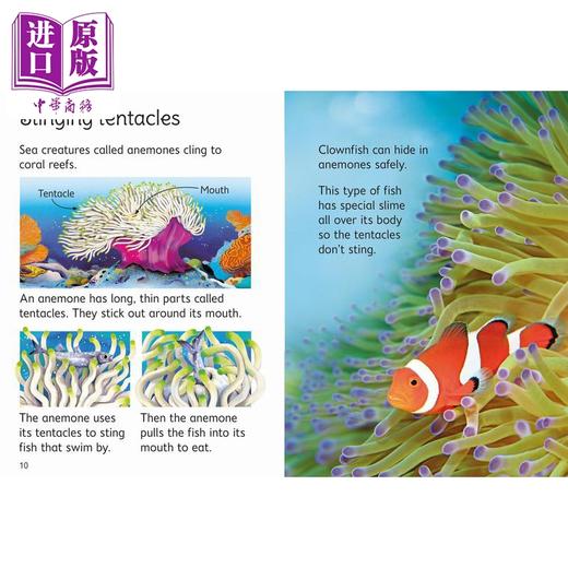 【中商原版】Coral Reefs 尤斯伯恩:珊瑚礁 英文原版 进口图书 儿童自然绘本 科普百科图书 科学知识儿童读物 亲子读物 童书 商品图3