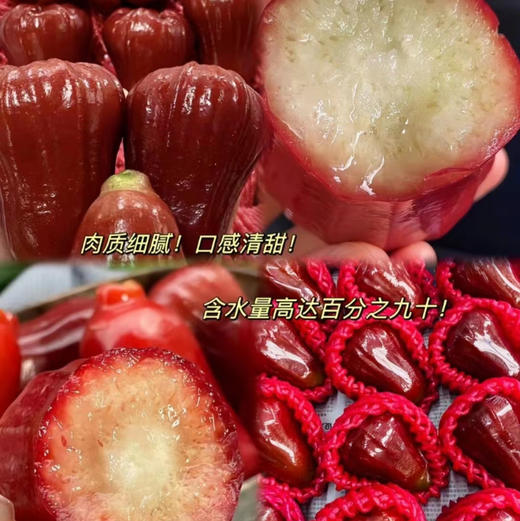 海南黑金刚莲雾长在树上的矿泉水！性平味甜，清心降火！宁心安神！果肉脆嫩清甜，娇嫩多汁 含水量90%，红润饱满 海绵质少，入口化渣 回甘清香淡雅！低糖零脂低卡 补水去火 夏季必备！一斤，约6个 商品图2