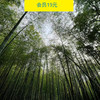 5.12周日下午打卡网红拍照圣地·云栖竹径（杭州活动） 商品缩略图0