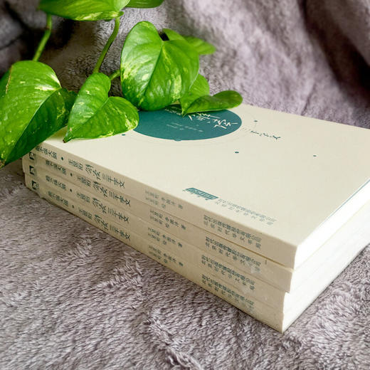 王昱珩解读三千字文    王昱珩、李振沣 商品图2