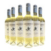 高乔骑士特浓情白葡萄酒2018 750ml 阿根廷 商品缩略图2