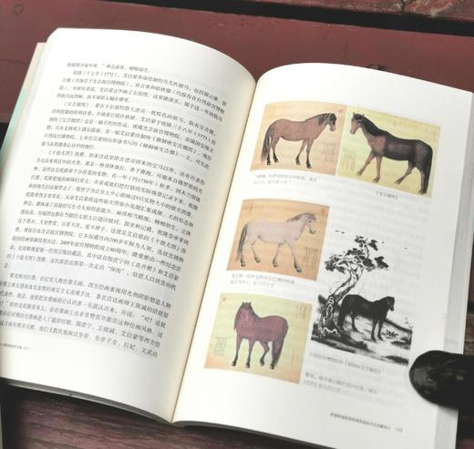 钜惠！！！《圆明园研究文集：圆明重光》，平装4册函套装，16开彩版印刷，曹宇明主编，中西书局2013年一版一印，约1100多页，定价420，售价69，非偏远地区包邮。 商品图14