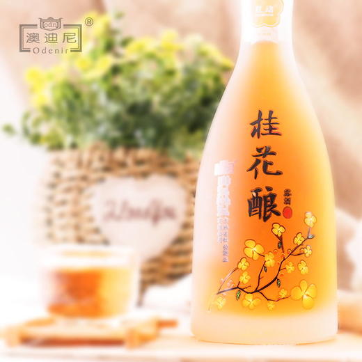 红动澳迪尼桂花酿果酒9°  少女小女生女士低度甜酒花果酒露酒 375m 商品图2