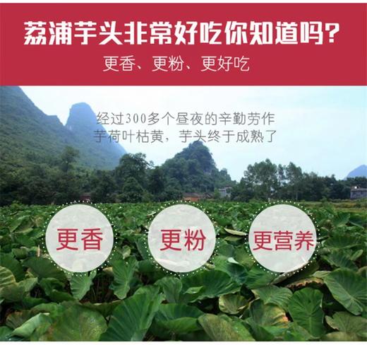 荔浦芋头片（广西特产，更香、更粉、更好吃） 商品图4
