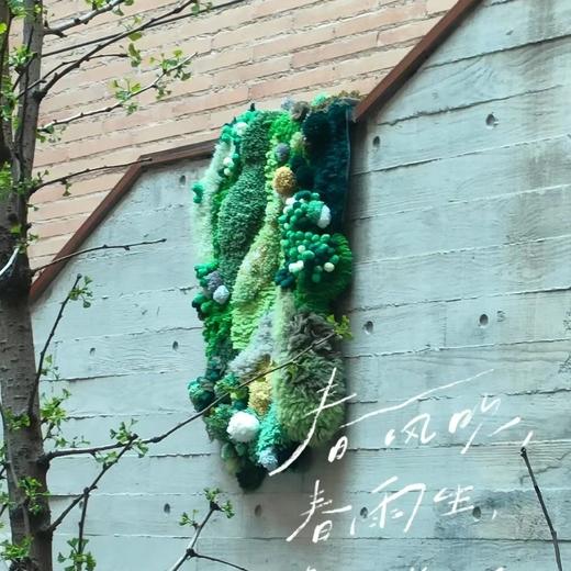 万物生苔藓地毯_材料包DIY! 商品图6