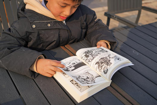 《世界文学名著连环画》（5/10册），几十位连环画大家通力创作，大人、小孩一口气读完世界名著 商品图11