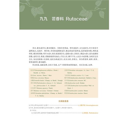 凤阳山植物图说（第三、四卷）/金孝锋 叶立新 陈征海 徐跃良/浙江大学出版社/第3卷/第4卷/图谱图鉴/自然保护/动物/分类/珍惜濒危 商品图1