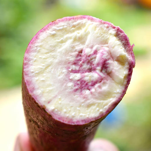 冰淇淋红薯  香甜粉糯  美味健康 商品图3