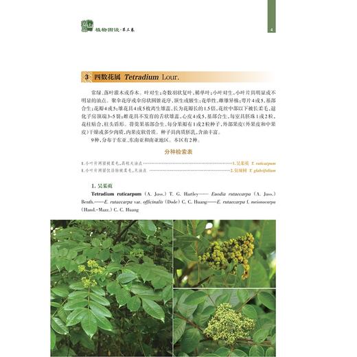 凤阳山植物图说（第三、四卷）/金孝锋 叶立新 陈征海 徐跃良/浙江大学出版社/第3卷/第4卷/图谱图鉴/自然保护/动物/分类/珍惜濒危 商品图4