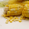 产地直发 | 【枝悦】云南水果玉米 现摘新鲜玉米甜玉米棒产地直供 商品缩略图3