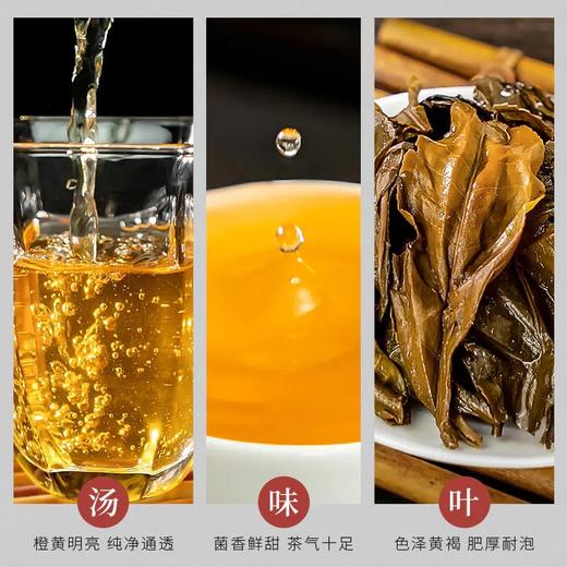 钧泽源有机茯砖茶 手筑茯砖280克/片  有机茯砖 商品图4