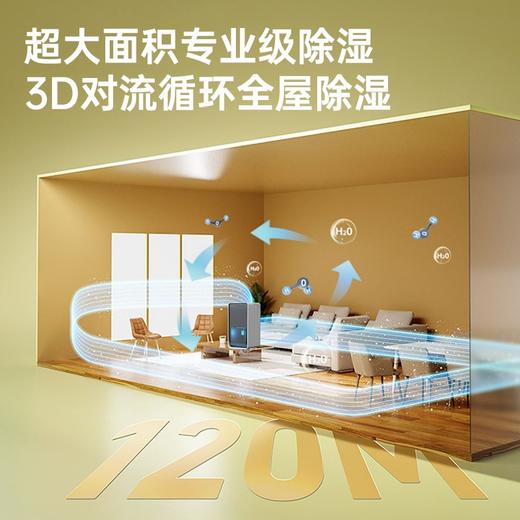 瑞士Coplax除湿机家用小型吸湿室内卧室静音去湿器干燥吸潮抽湿机 商品图4