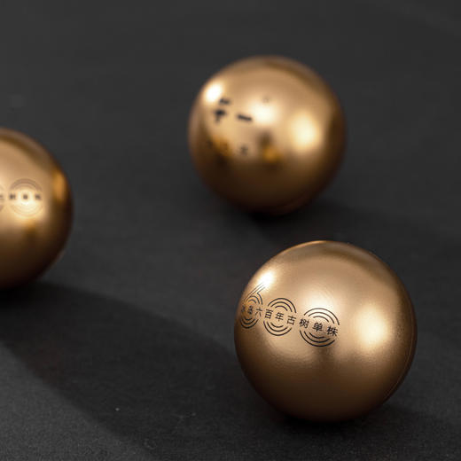 【午一·冰岛老寨】古树单株600年（老寨核心地块） 商品图0