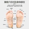 足底按摩器腿部经络疏通刺激揉捏脚底穴位滚轮指压板家用按脚神器 商品缩略图4