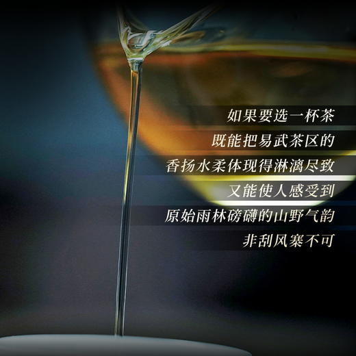 【刮风寨】2023年头春头采今年掌柜首款巨作，全部为挑采不低于20米高杆古树茶，掌柜出手比出好茶357克/饼 商品图2