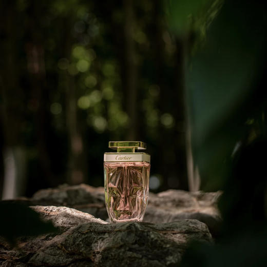 卡地亚猎豹香水 商品图2