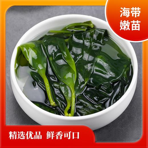 【米莱专享】霞哥浦妹-霞浦海带苗 商品图0