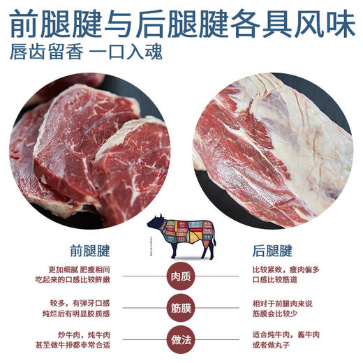 大黄鲜森·澳洲原切进口和牛牛腱子2kg 商品图5