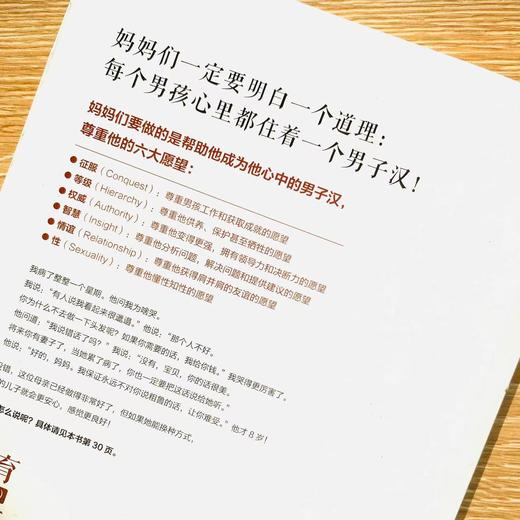 养育男孩（母亲版）  (美)梅格•米克 商品图4