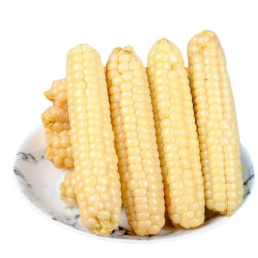 产地直发 | 【枝悦】云南版纳拇指小玉米傣家迷你手指香糯真空玉米棒宝宝即食早餐 商品图4