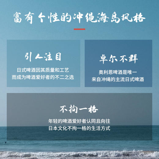 奥利恩（ORION）日本原装进口生啤酒 冲绳啤酒 500ml*24听 商品图2