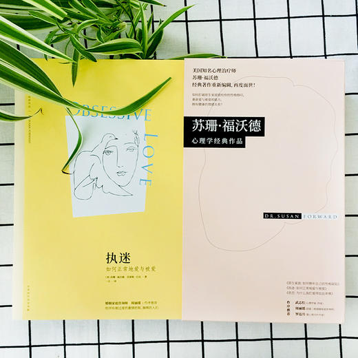 苏珊心理学经典作品 原生家庭+执迷+依恋     （美）苏珊 福沃德博士 商品图5