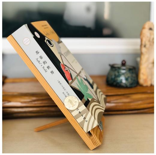 苏菲的世界 商品图1