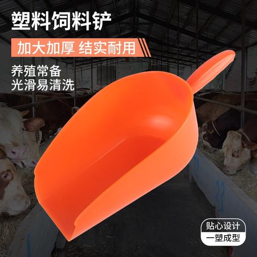 华畜塑料铲饲料铲加大加厚结实耐用养殖常备光滑易清洗可换购多次 商品图1