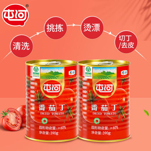 中粮屯河番茄丁 河套平原番茄 茄味香浓 一酱多种吃法 调味增香 390g*6罐    商品图3