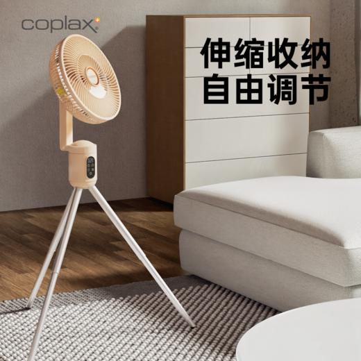 瑞士COPLAX户外露营风扇家用落地扇充电无线便携吊扇照明驱蚊电风扇 商品图2