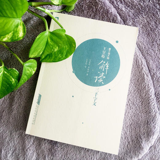 王昱珩解读三千字文    王昱珩、李振沣 商品图1