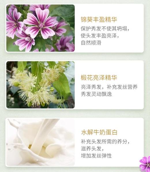 【清仓好价】瑞士Rausch路丝无硅油植物洗发水200ml 商品图3