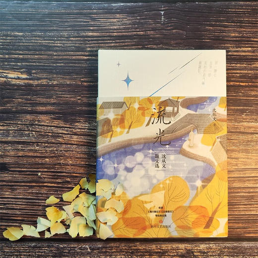 流光 沈从文散文选 沈从文 著 文学 商品图1