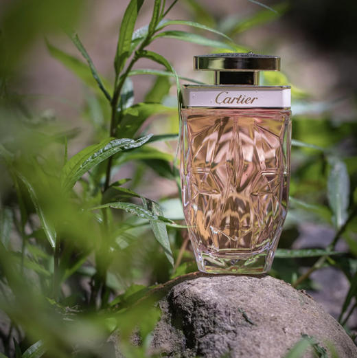 卡地亚猎豹香水 商品图1