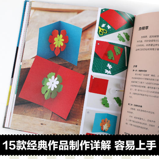 乐乐趣-立体书制作实例教程 大师经典版 商品图4