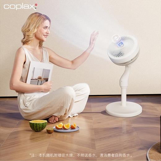 瑞士COPLAX空气循环扇静音家用台立式节能摇头变频遥控落地电风扇 商品图3