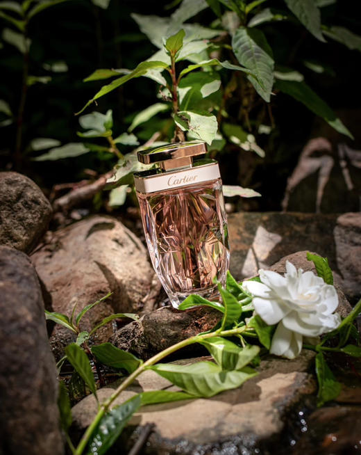 卡地亚猎豹香水 商品图0