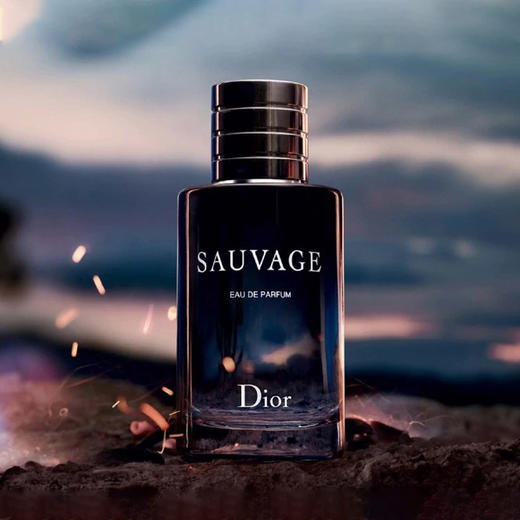 【双12嗨购节】【全球购 *送迪奥甜心香水+礼袋】Dior迪奥旷野 男士香氛香水EDP浓香100ml· 商品图10