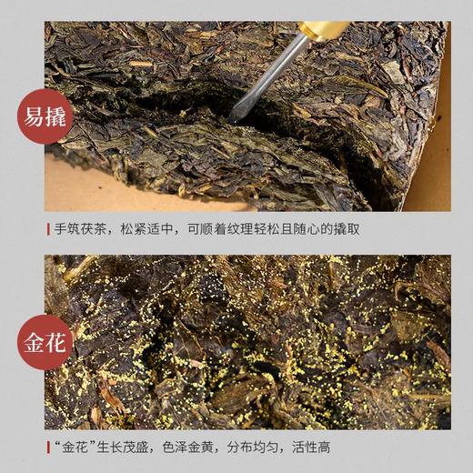 钧泽源有机茯砖茶 手筑茯砖280克/片  有机茯砖 商品图2