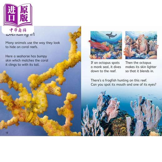 【中商原版】Coral Reefs 尤斯伯恩:珊瑚礁 英文原版 进口图书 儿童自然绘本 科普百科图书 科学知识儿童读物 亲子读物 童书 商品图4