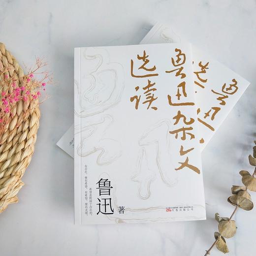鲁迅杂文选读 鲁迅 著 文学 商品图3