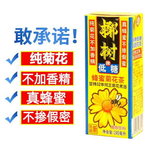椰树蜂蜜菊花茶245ml 商品图3