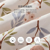 英氏-童衣类（夏）G3英梭短裤喷流白80CM 商品缩略图3