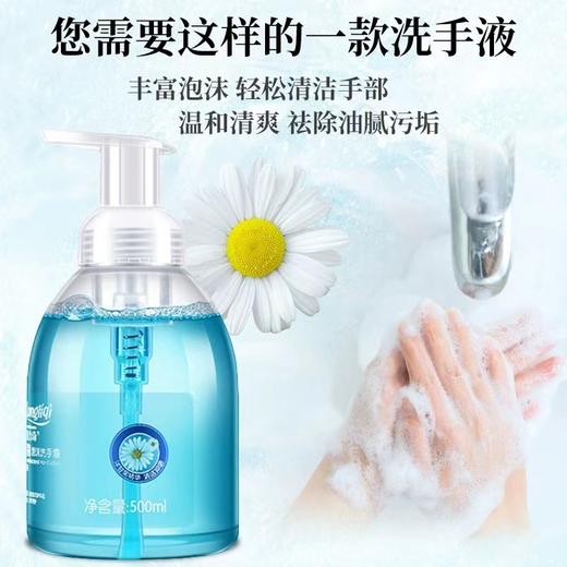 隆力奇洗手液 商品图1