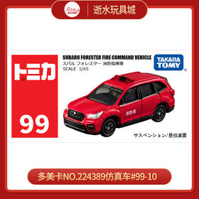 多美卡NO.224389仿真车#99-10