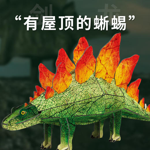 迪杰熊3D立体拼图 ，恐龙模型益智玩具，趣味拼装，提升孩子动手能力 商品图3